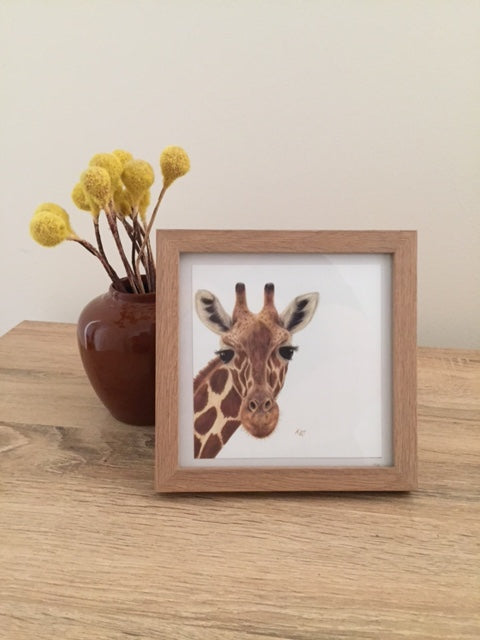 Gilbert Frame