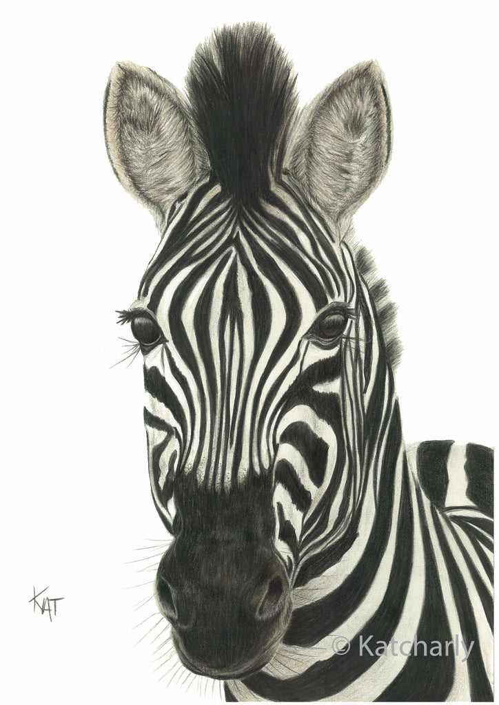 Ziggy Greeting Card