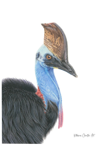 Cassowary Print