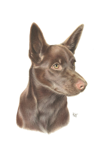 Pet Portrait February 2024