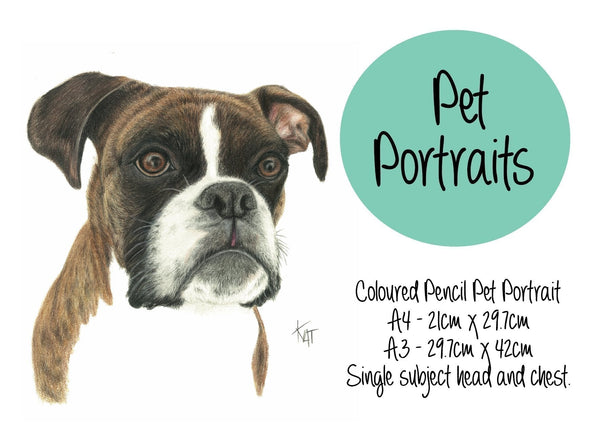 Pet Portrait January 2024