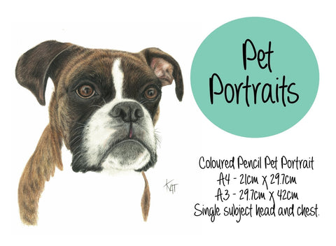 Pet Portrait January 2024