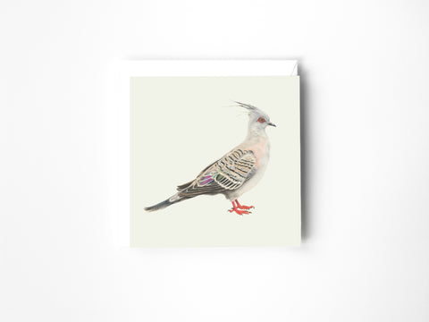 Priscilla Greeting Card