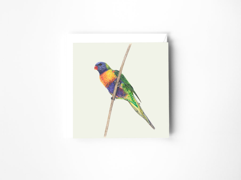 Rainbow Lorikeet Greeting Card