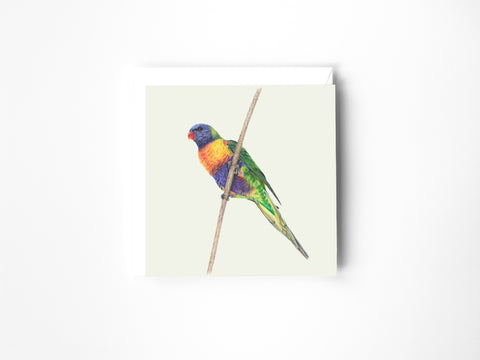 Rainbow Lorikeet Greeting Card
