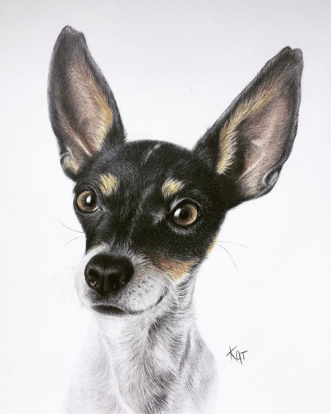 Pet Portrait March 2024