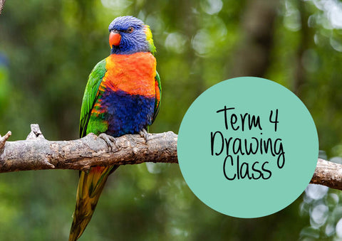 Drawing classes term 4 2023