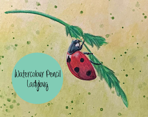 Watercolour Pencil Ladybug - Holiday Workshop