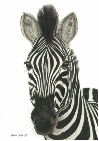 Ziggy Print
