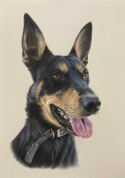 Pet Portrait August 2026