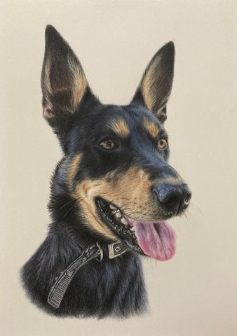 Pet Portrait September 2026