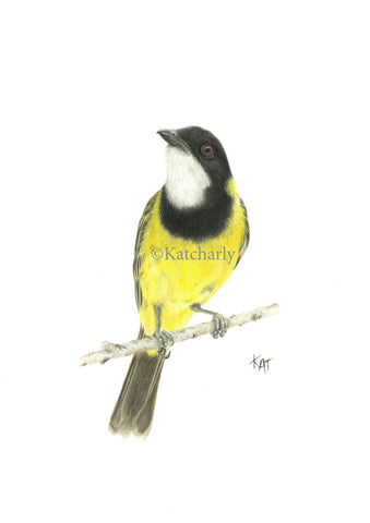 Golden Whistler Original