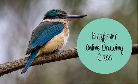 Kingfisher online drawing class