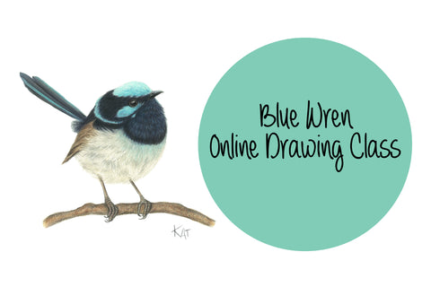 Blue Wren Online Class