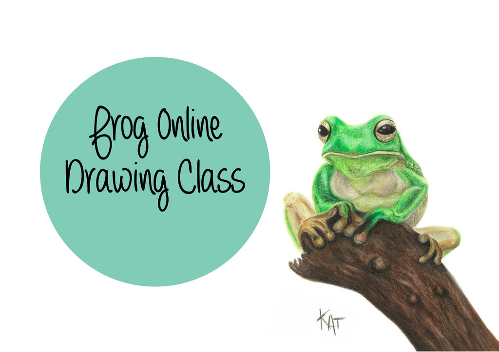 Frog Online class