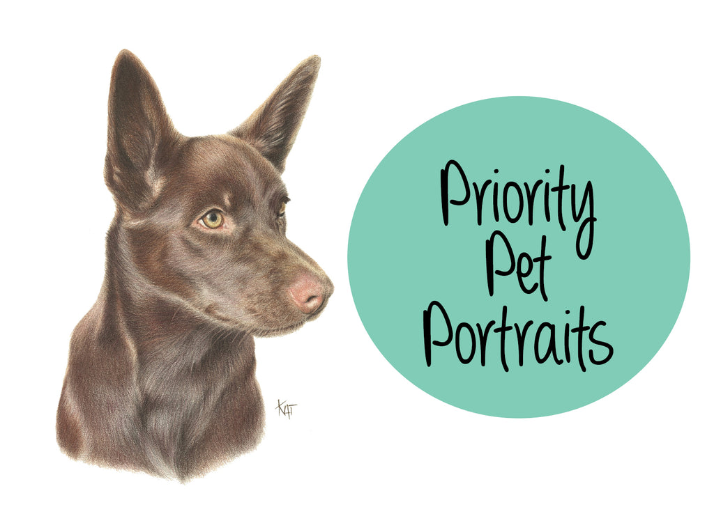 Priority Pet Portrait