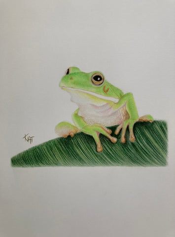 Original Frog drawing